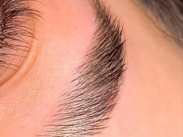Brow Lamination