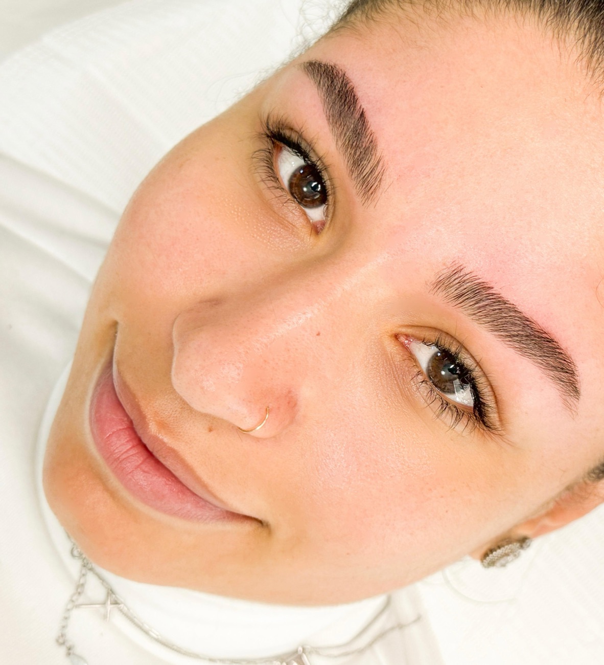 Eyebrow Shaping + Henna or Tinting